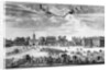 View of Whitehall from St James's Park by Anonymous