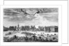 View of Whitehall from St James's Park by Anonymous
