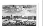 View of Whitehall from St James's Park by Anonymous
