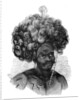 Native of the Papua Islands by Anonymous