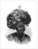 Native of the Papua Islands by Anonymous