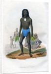 Inhabitants of Tikopia by Anonymous