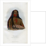 Mah-to-toh-pa, (The Four Bears), 2nd Chief of the Mandans by Harris