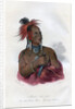 Meach-o-shin-gaw, The Little White Bear, A Konza Warrior by Harris