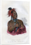 Meach-o-shin-gaw, The Little White Bear, A Konza Warrior by Harris