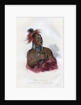 Meach-o-shin-gaw, The Little White Bear, A Konza Warrior by Harris