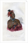 Meach-o-shin-gaw, The Little White Bear, A Konza Warrior by Harris