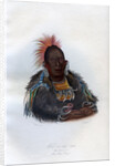 Wah-ro-nee-sah', The Surrounder, An Otoe Chief by Harris