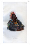 Wah-ro-nee-sah', The Surrounder, An Otoe Chief by Harris