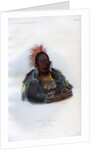 Wah-ro-nee-sah', The Surrounder, An Otoe Chief by Harris