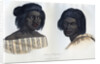 Natives of California by Anonymous