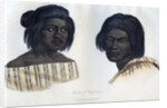 Natives of California by Anonymous