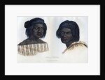 Natives of California by Anonymous
