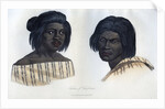 Natives of California by Anonymous