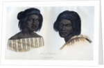 Natives of California by Anonymous