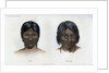Juri and Botocudos, of the Brasilio-Guarani nation by Anonymous