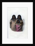 Native American women and child by Harris