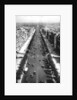 View of the Avenue des Champs Elysees, Paris by Ernest Flammarion