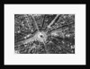 A bird's eye view of the Place de L'Etoile and the Arc de Triomphe, Paris by Ernest Flammarion