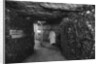 The Catacombs, Paris by Ernest Flammarion