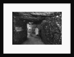 The Catacombs, Paris by Ernest Flammarion