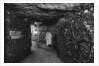 The Catacombs, Paris by Ernest Flammarion