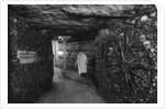 The Catacombs, Paris by Ernest Flammarion