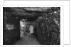 The Catacombs, Paris by Ernest Flammarion