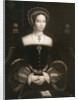 Princess Mary, later Queen Mary I by Anonymous
