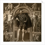 Henry Howard, Earl of Surrey by Guillim Scrots