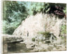 The Tamadare Falls, Yumoto, Hakone, Japan by Anonymous