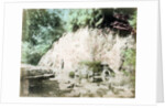 The Tamadare Falls, Yumoto, Hakone, Japan by Anonymous