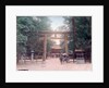 Torii, shrine gate, Nishigamo, Kyoto, Japan by Anonymous