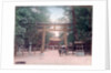 Torii, shrine gate, Nishigamo, Kyoto, Japan by Anonymous