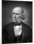 Herbert Spencer by Anonymous