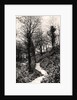 Lovers Lane, Fairlight, Hastings, Sussex by Anonymous