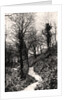 Lovers Lane, Fairlight, Hastings, Sussex by Anonymous
