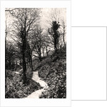 Lovers Lane, Fairlight, Hastings, Sussex by Anonymous
