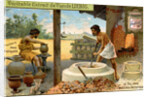 Potters in antiquity by Anonymous