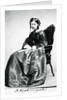 Florence Nightingale by Anonymous