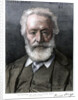 Victor Hugo, French author by D Laugee