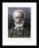 Victor Hugo, French author by D Laugee