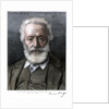 Victor Hugo, French author by D Laugee