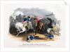 Ligonier's Horse at the Battle of Dettingen by Anonymous