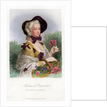 Madame de Pompadour by Anonymous