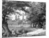 The Phoenix Park, Dublin by Anonymous