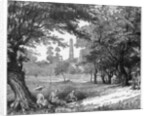 The Phoenix Park, Dublin by Anonymous