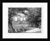 The Phoenix Park, Dublin by Anonymous