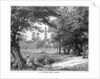 The Phoenix Park, Dublin by Anonymous