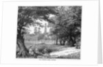 The Phoenix Park, Dublin by Anonymous